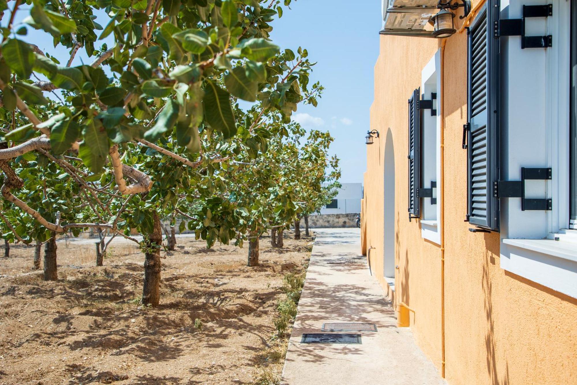 Nick'S House Aegina Exterior foto